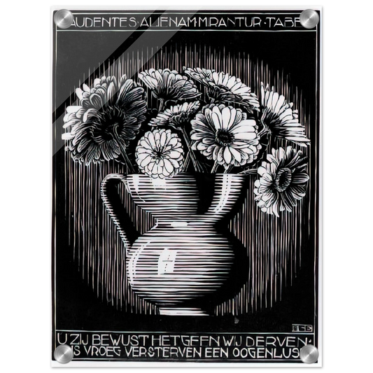 86f9d228-e485-4ff0-b4a5-01eeb356682e