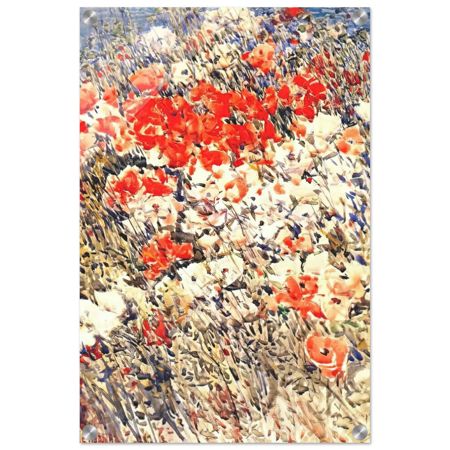 880fc694-f2f3-4cd2-a922-3dbc8a646855