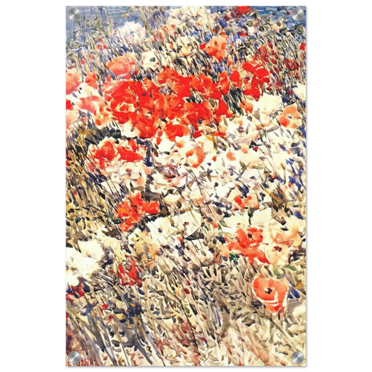 880fc694-f2f3-4cd2-a922-3dbc8a646855