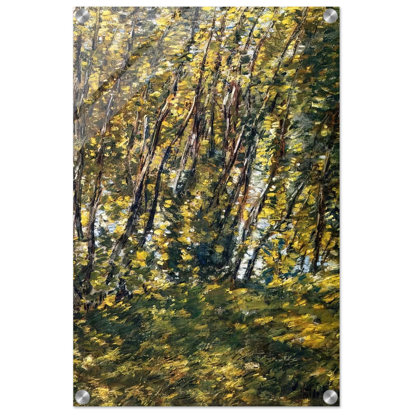 8a567726-ddb4-49fb-a4f6-59c49c864722