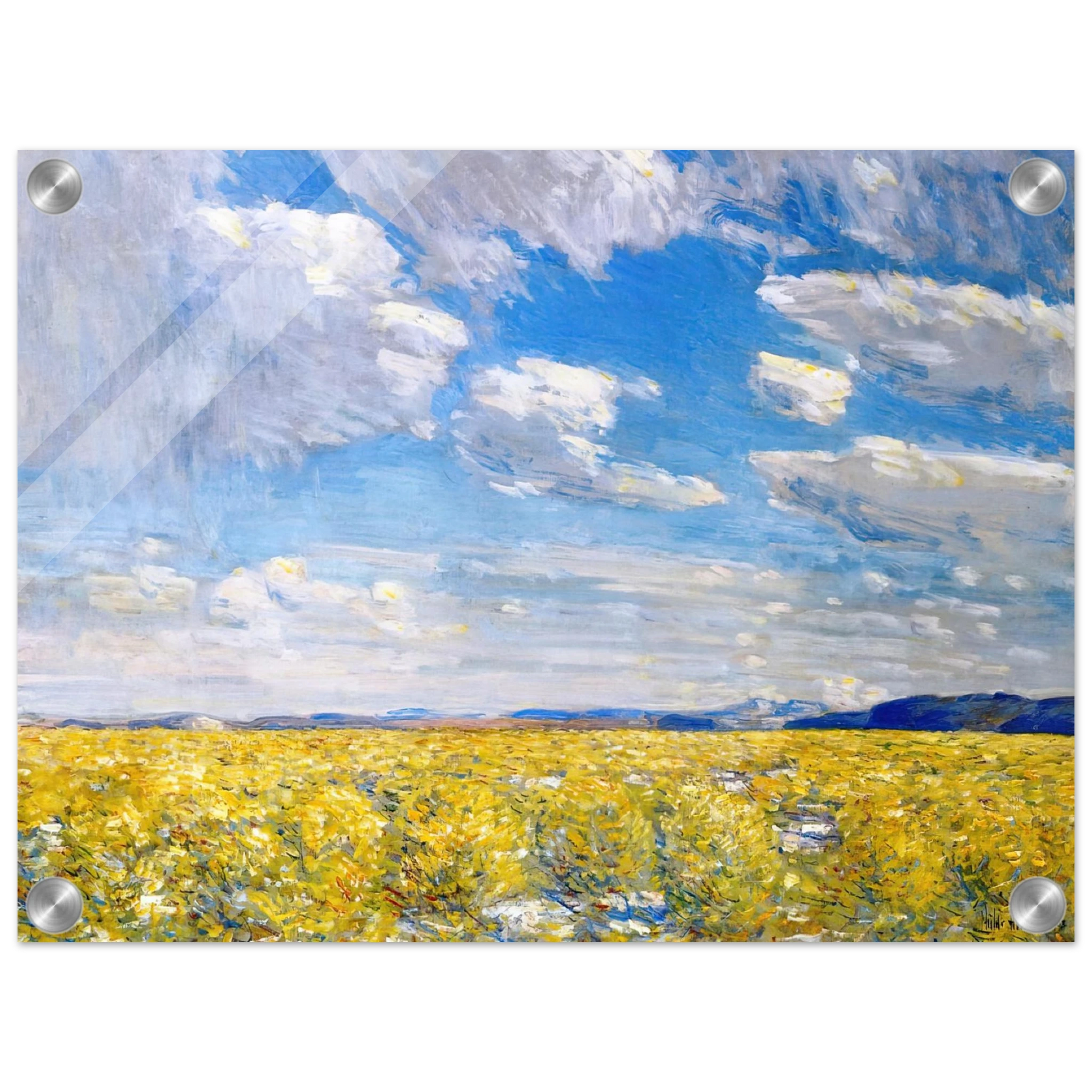 8b083adc-5394-4989-8180-8538a2c5d208