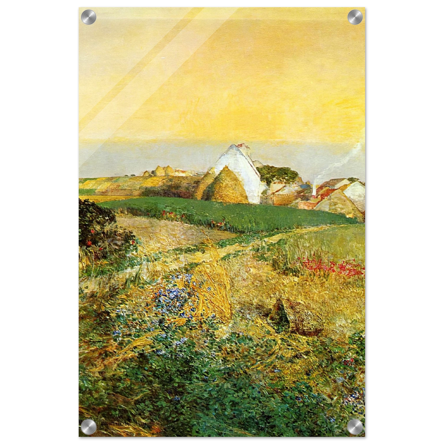 8cd7efa9-ebf1-4703-8c53-25558ed3cad5