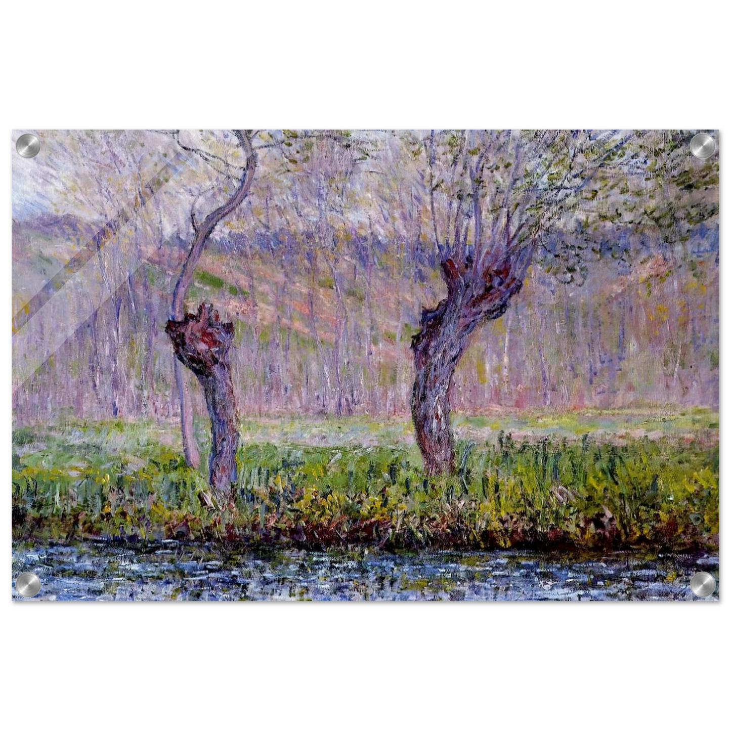 8d8ec8b5-7707-4dd0-804b-2d98adc9f747