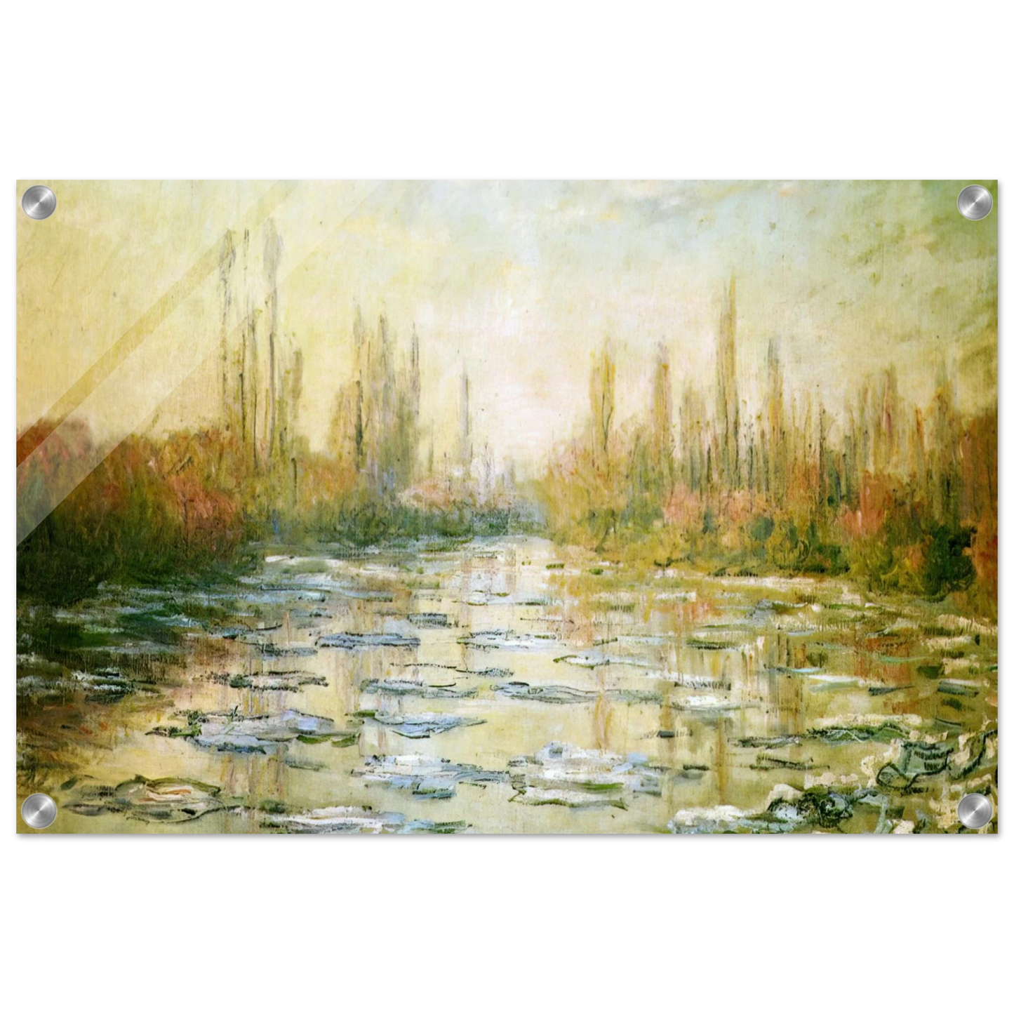 8fad7883-f976-4693-a604-d79ea4947994