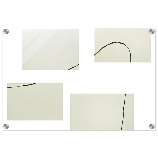 919aaa83-8f9a-41e4-b797-71a60c4ef82a