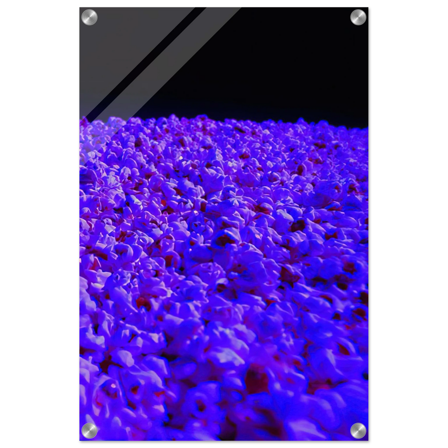 921c3c41-08e7-42b1-9c8f-6d26e99c56a6