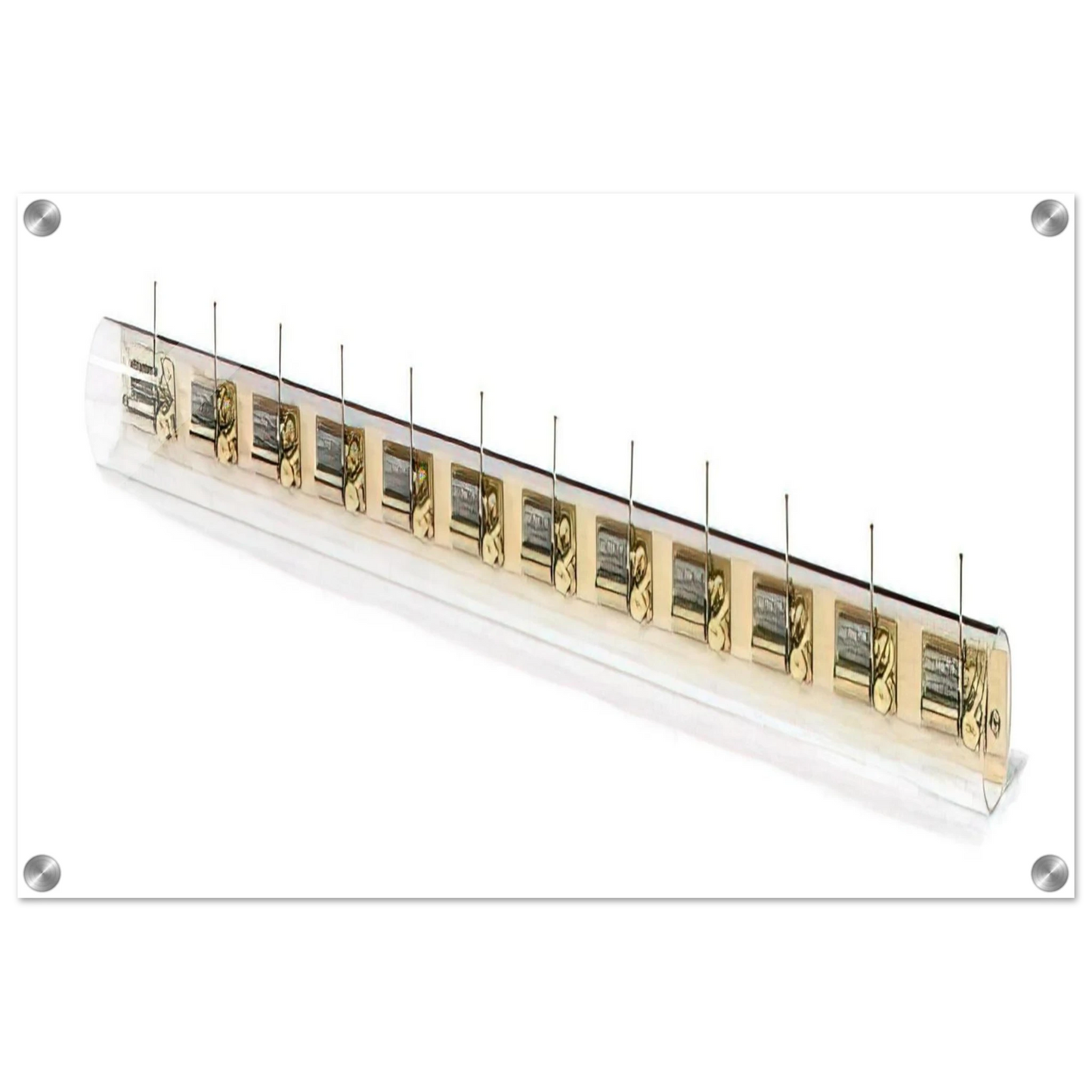 96f495dd-2520-4234-8e59-5040531e89bc