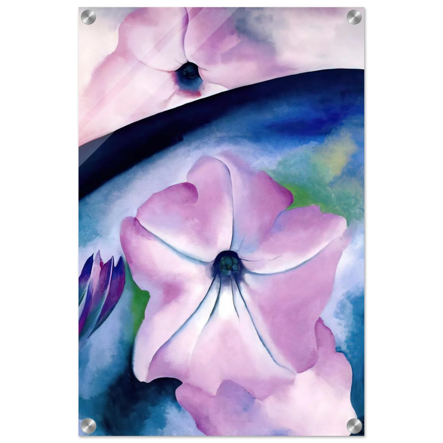 97427619-90af-4cb0-8807-a048543f0f18