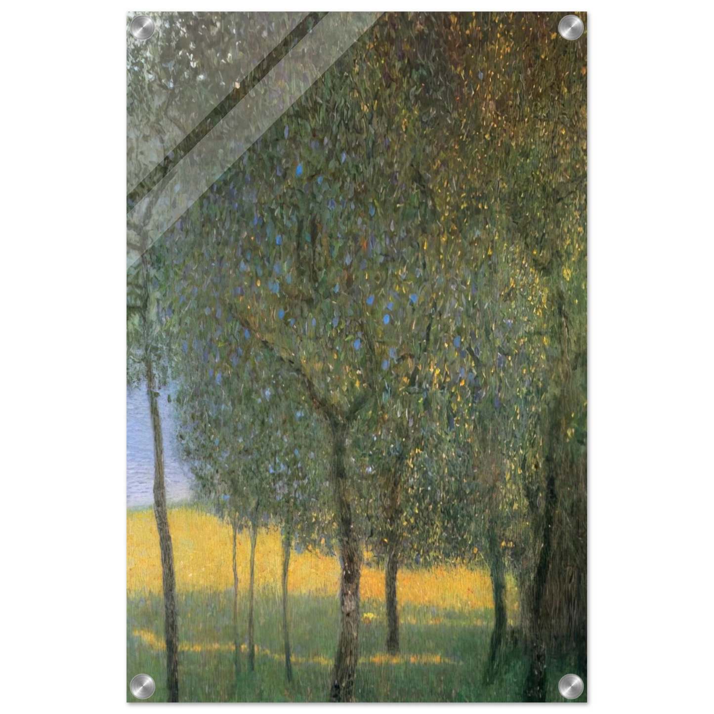 97e3f2d4-5983-4128-937c-df761ce016a5