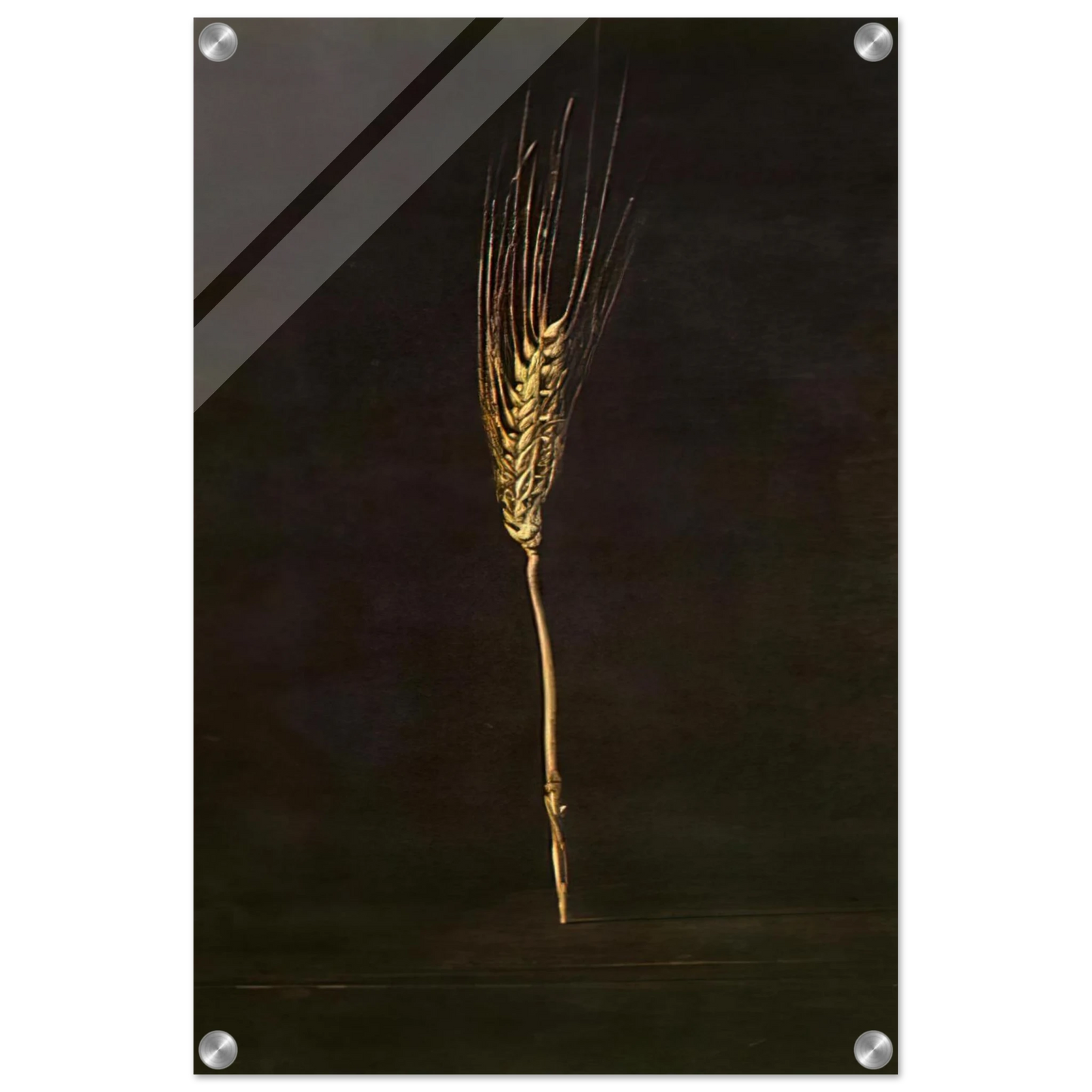 9b0e3c22-0a99-4acb-bb96-71199b59e2af