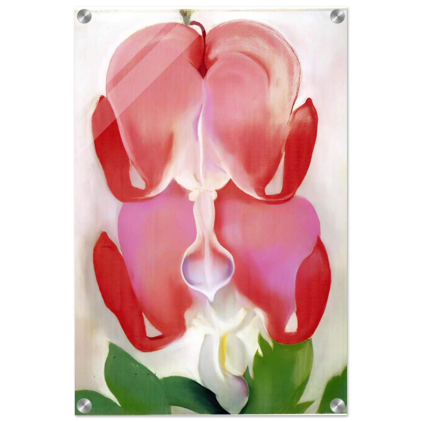 9fc5aedf-f446-4b0c-9215-b6fcb553bce6