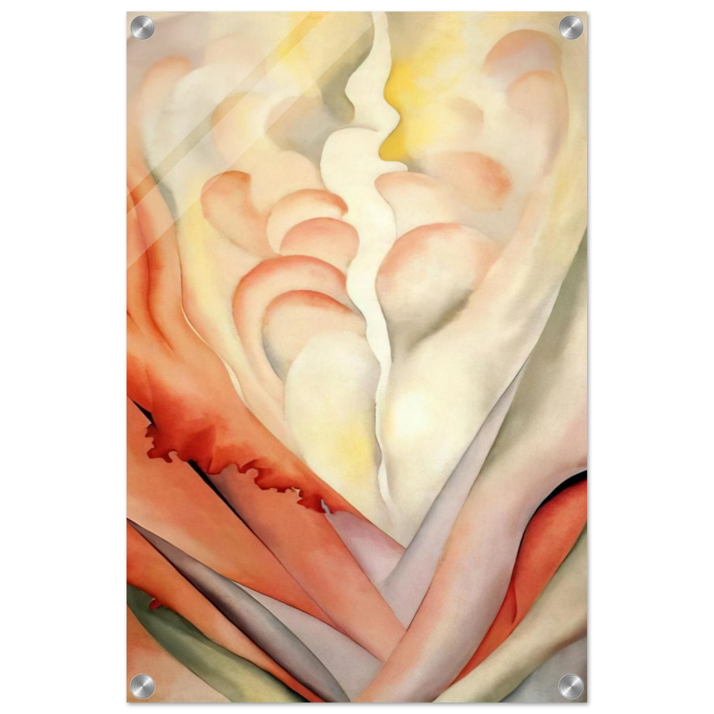 a5a8bbba-2a78-4132-9855-7c791126fef9