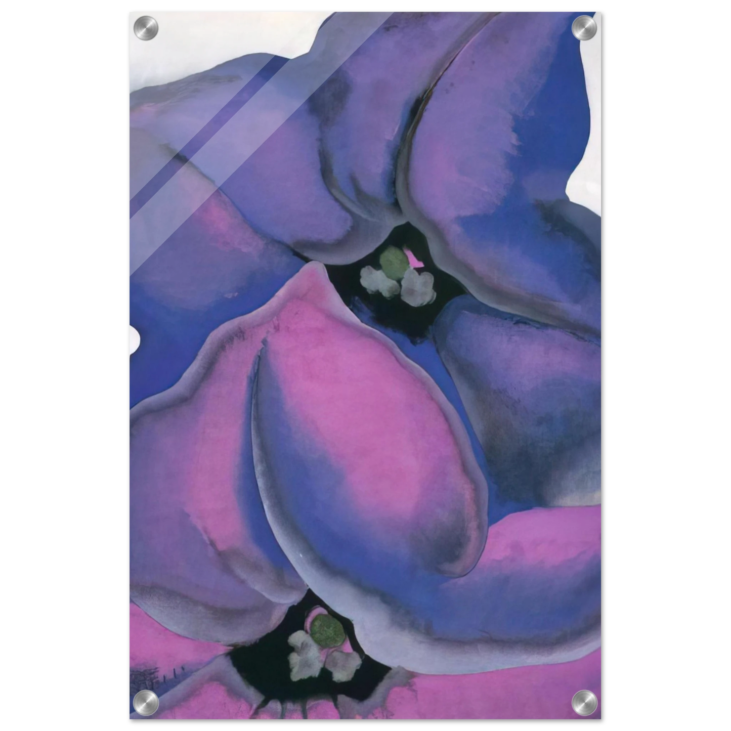 a682d07a-335d-474b-8d2f-dc40feaca543