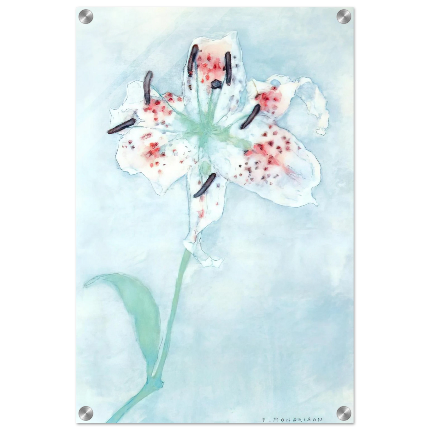 a7c16ef4-5858-4551-a91e-26753affdbe4