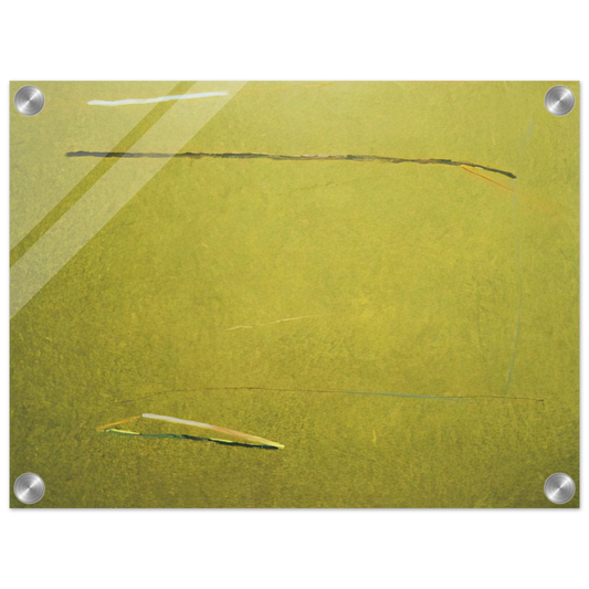 aa8a57d1-d923-4b45-8fef-afd558d0ca49