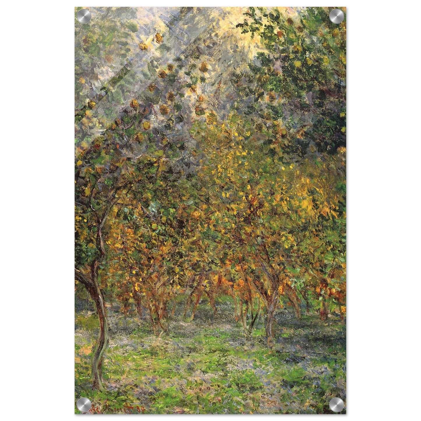 adafdf18-a77d-4c99-b368-2a9ddc4f2aaf