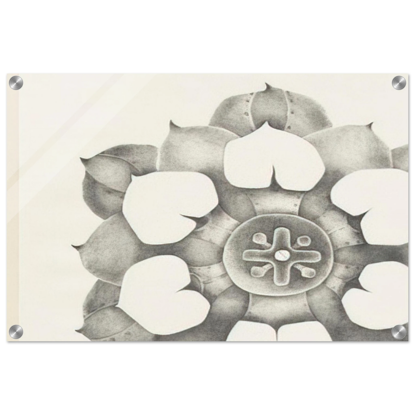 b04eb965-91b1-4c33-8559-d5fdfbd6b5ec