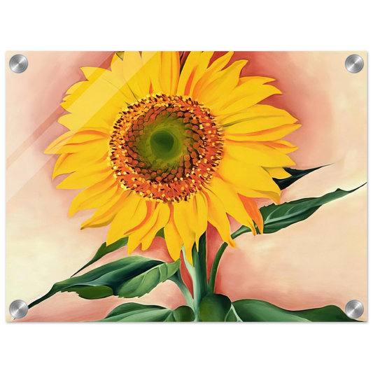 ba3843ef-4b82-4b74-9316-31ea7ab64752