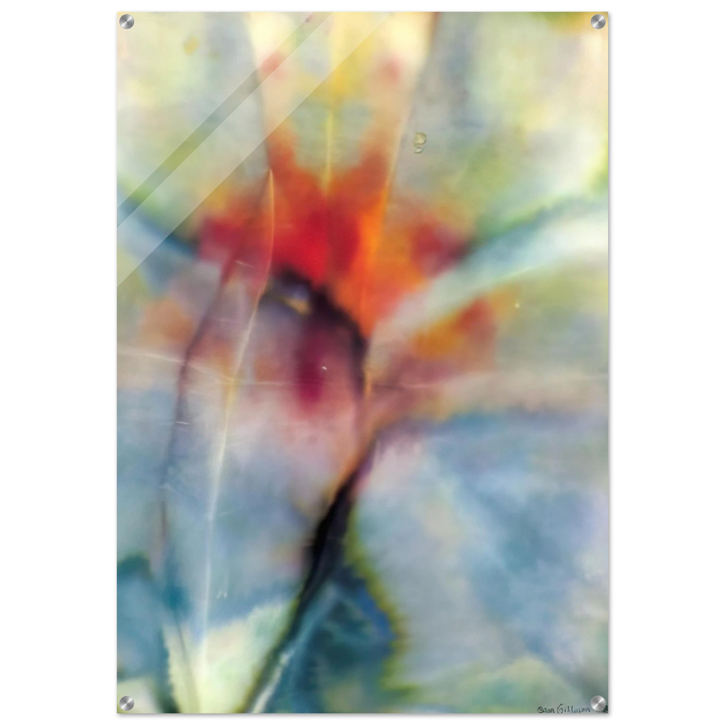 bb511859-b86b-47a6-826b-03fa1f548118