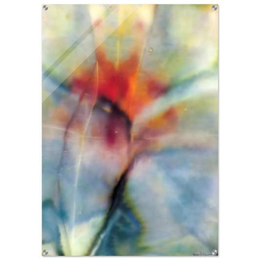 bb511859-b86b-47a6-826b-03fa1f548118