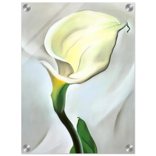 c2b881e4-4834-421a-a85d-1b6b6593b021