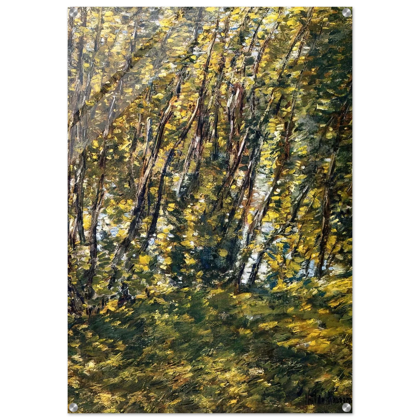 c70bffc2-7292-4a4a-8e02-ae4cc931413a