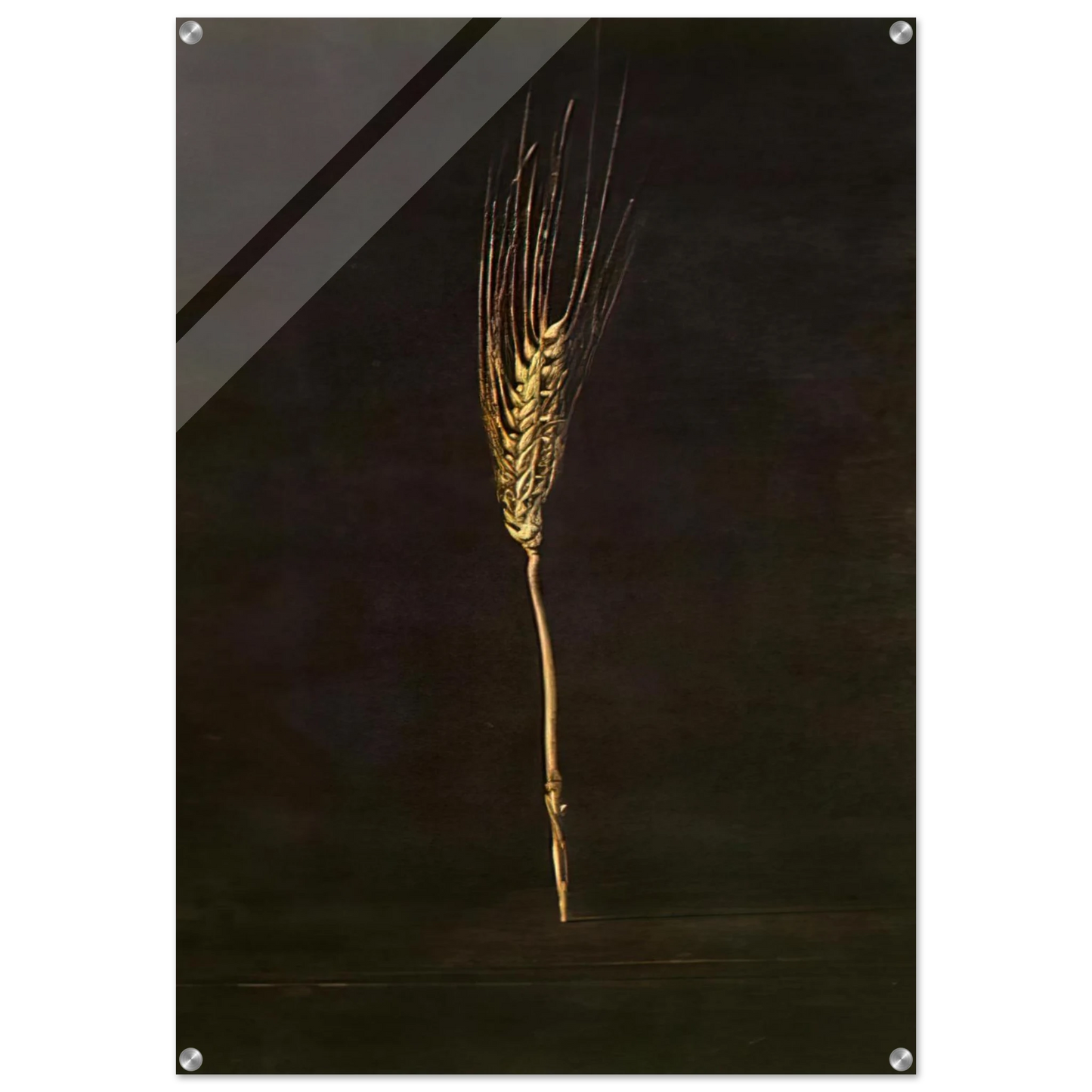 c75b9c1e-13eb-47ef-af61-f54d51159df6