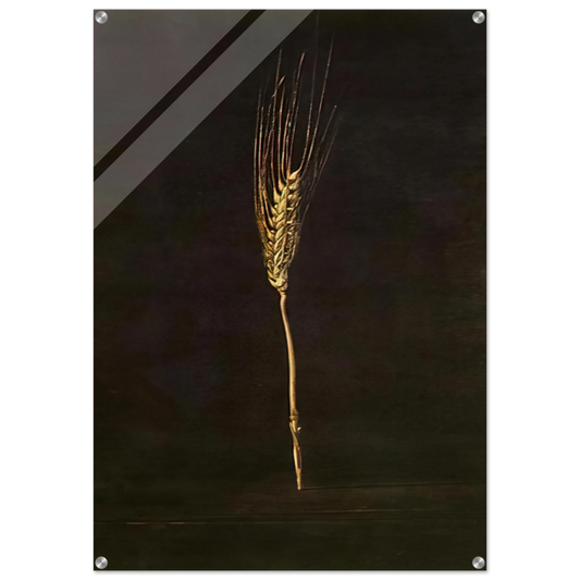 c75b9c1e-13eb-47ef-af61-f54d51159df6