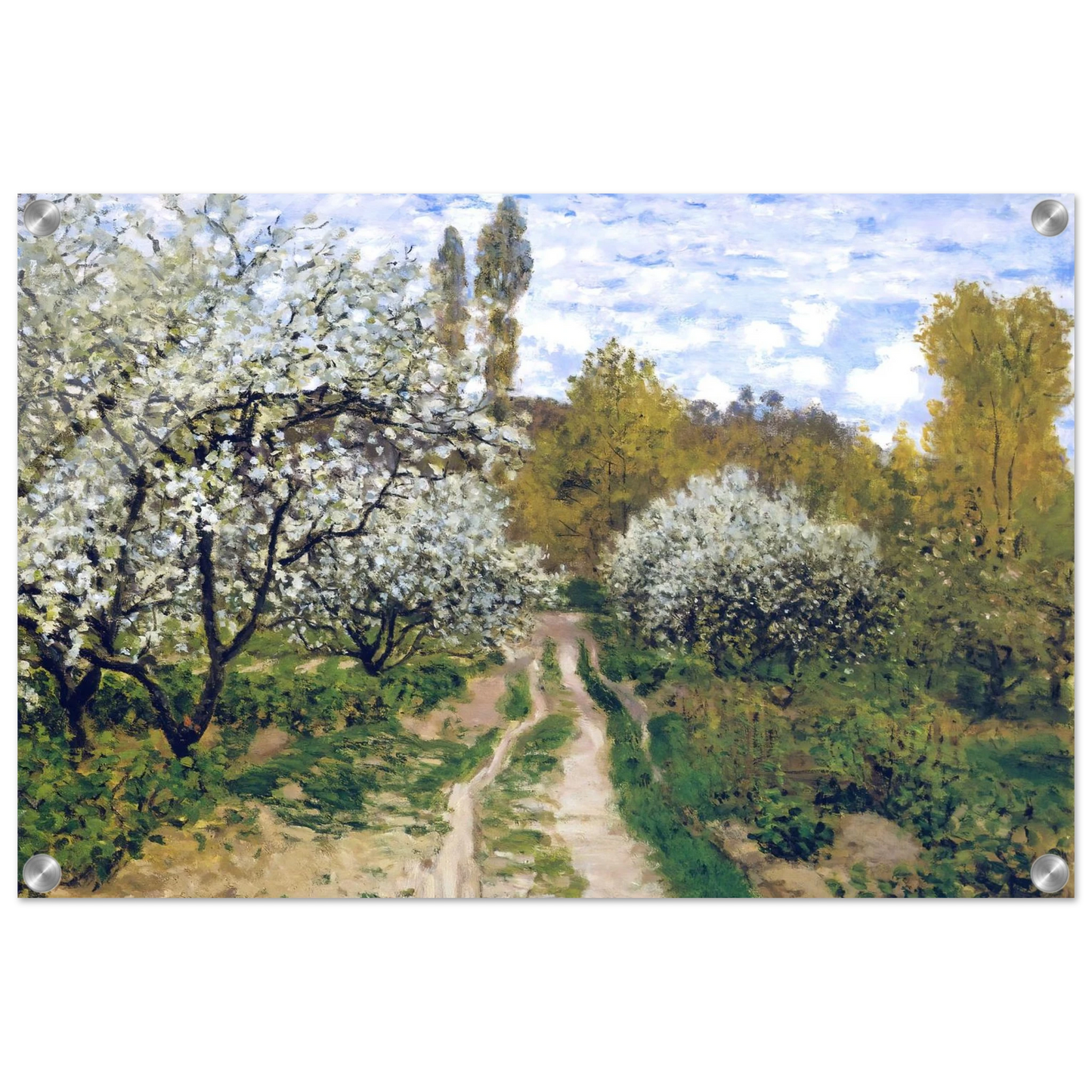 cc339800-8ecb-4d71-9a88-6b57ea85cf6f