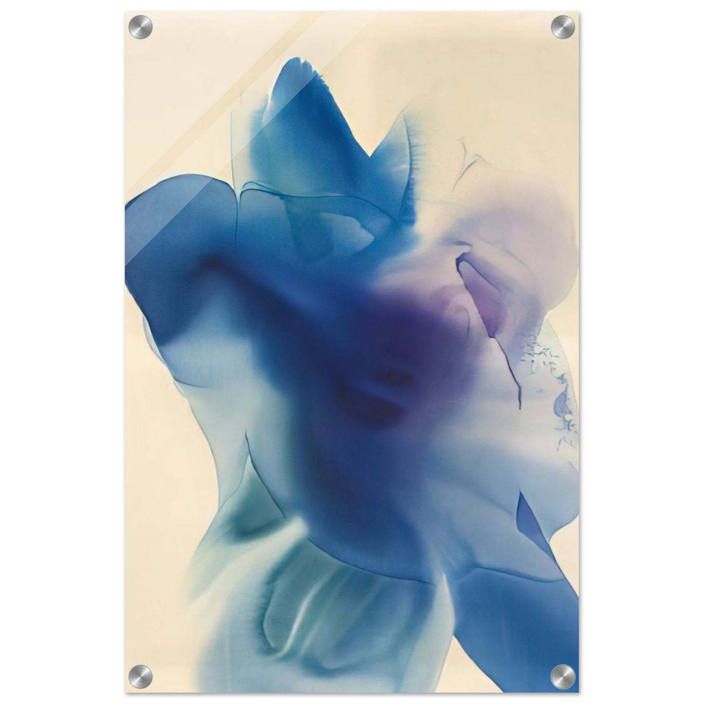 cdb0f9f5-2673-483d-8e9a-c6ba72dc79b1