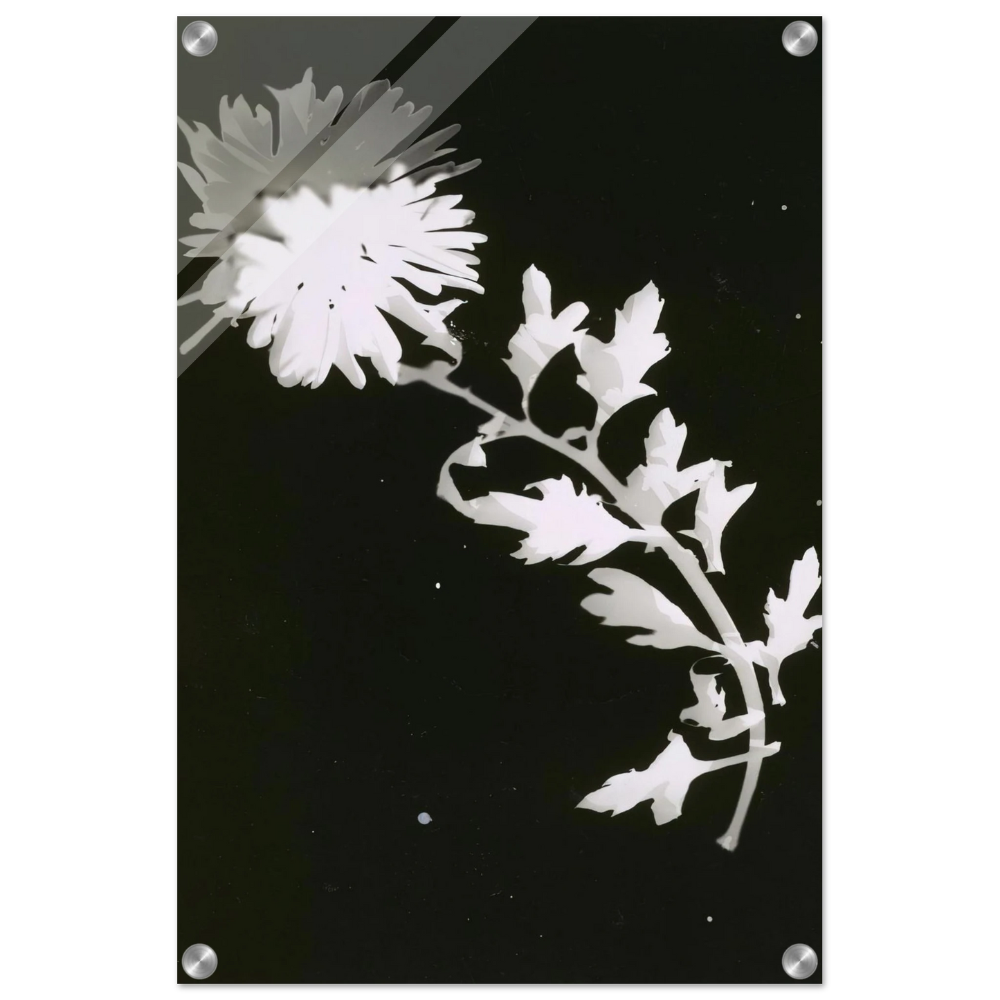 cfb09344-4012-4dd8-bf0e-8885cdbb3b0f