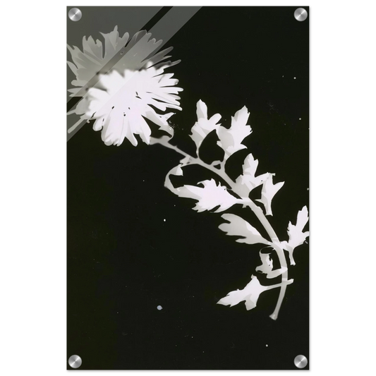 cfb09344-4012-4dd8-bf0e-8885cdbb3b0f