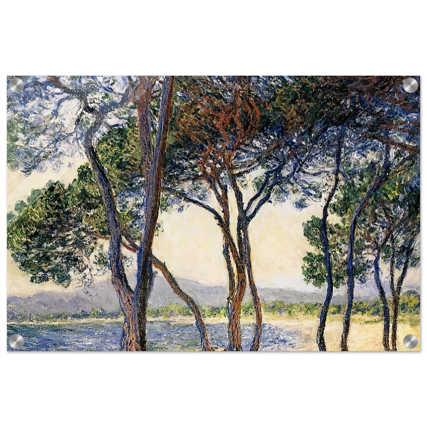 d6494296-843d-4249-95dd-2acd4fdf4512