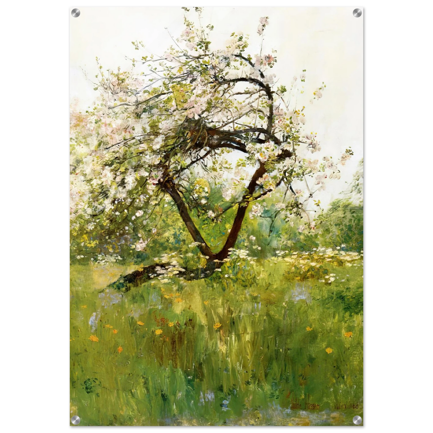 d67b3864-14bb-4a6e-9fad-ae98acd220a4