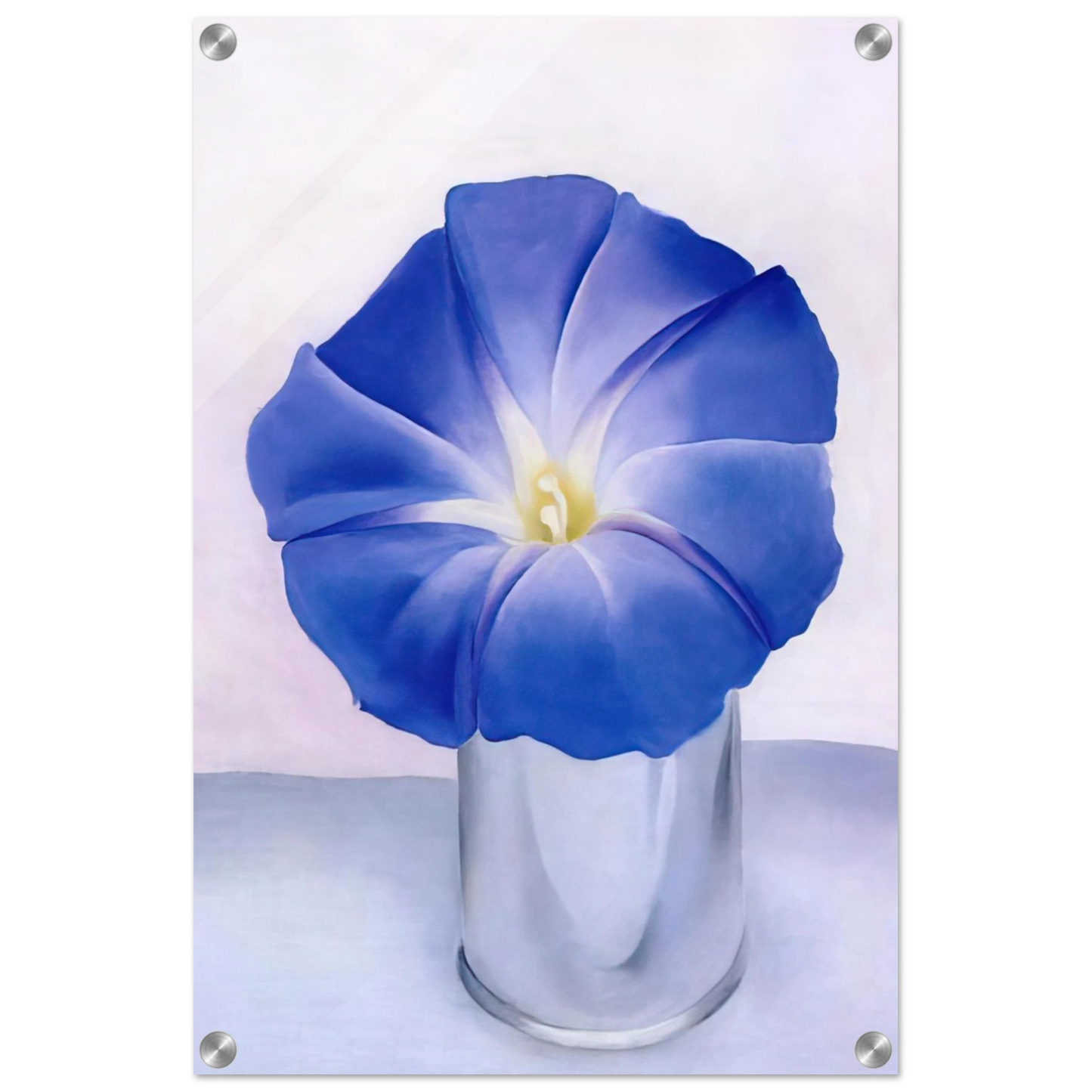 dcb7e6b5-706c-450c-a8e4-20663b1a6b80