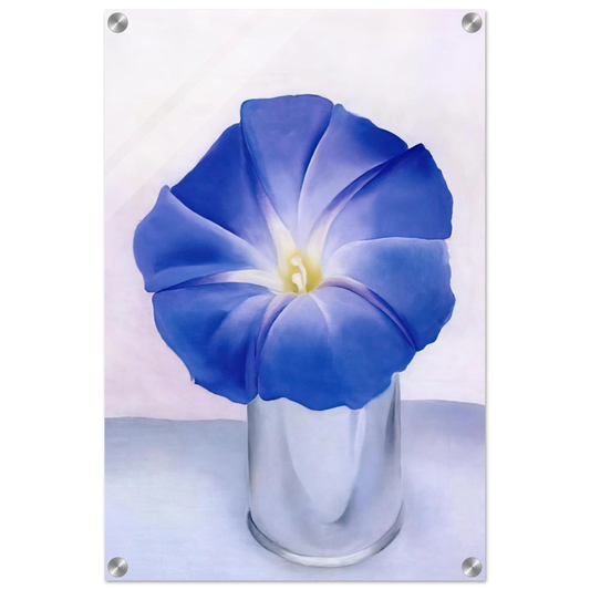 dcb7e6b5-706c-450c-a8e4-20663b1a6b80