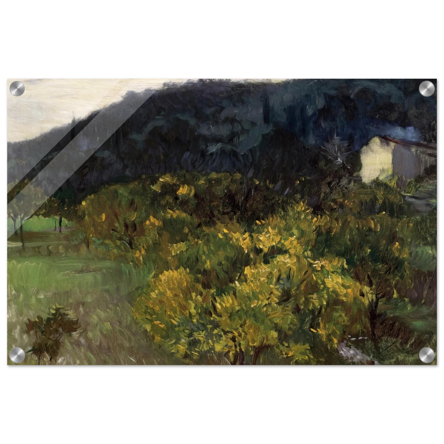 ddfed56d-3701-4794-ba7e-a36944eed931