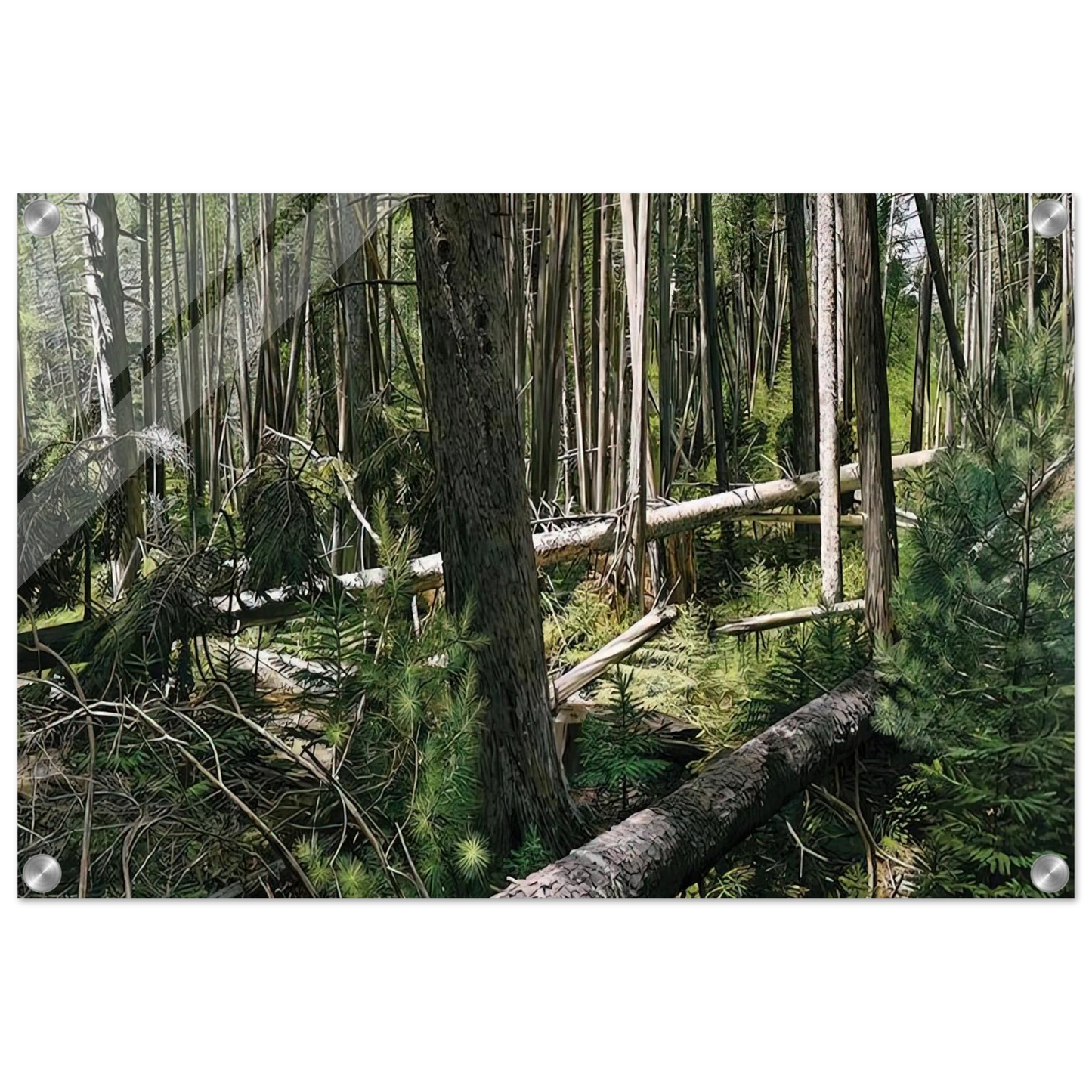 eae605a7-4583-4a8e-a52d-a36614203d82