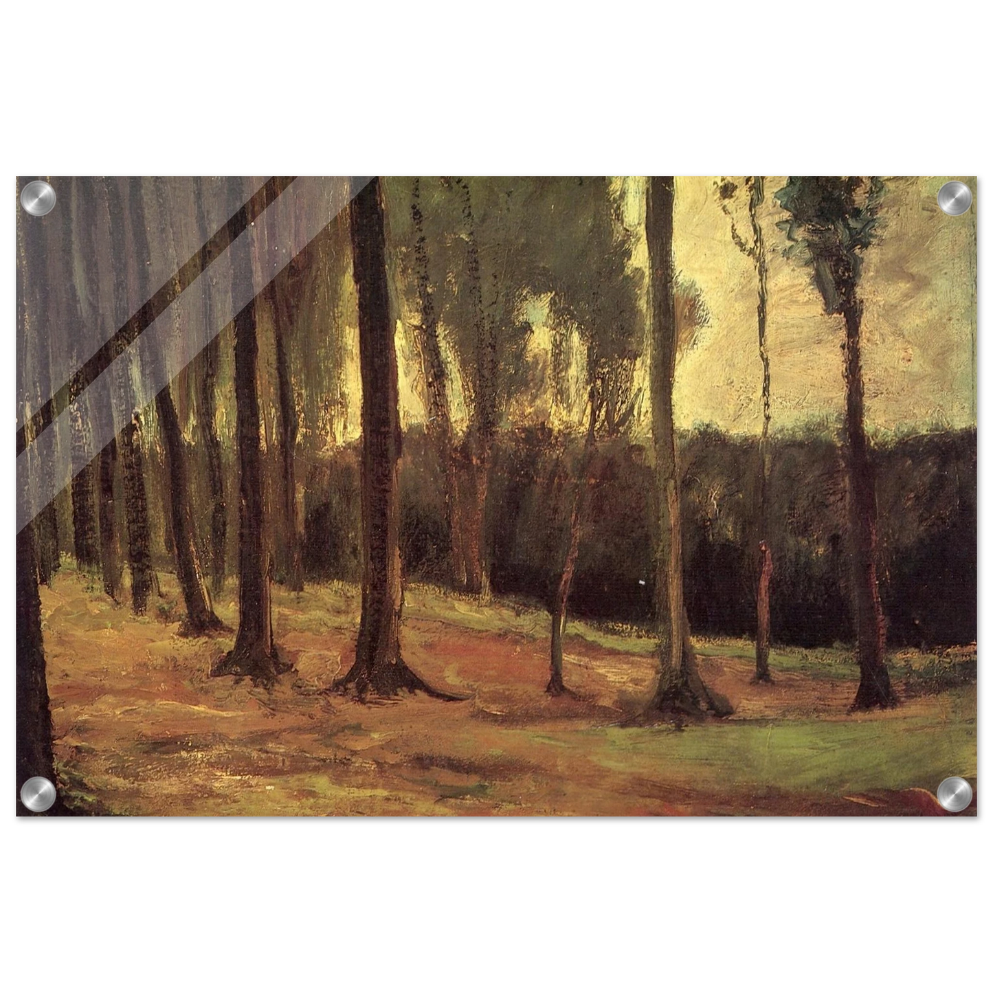 f00c5873-7e59-411d-ae15-80caccf776b3
