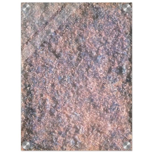 f45caed8-c801-4129-ab8e-87485df60e83