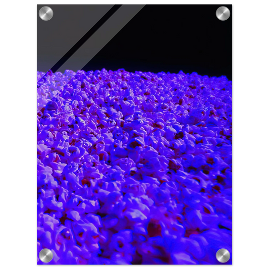 f4744430-268e-41ae-b821-a6df2d4b7ee9