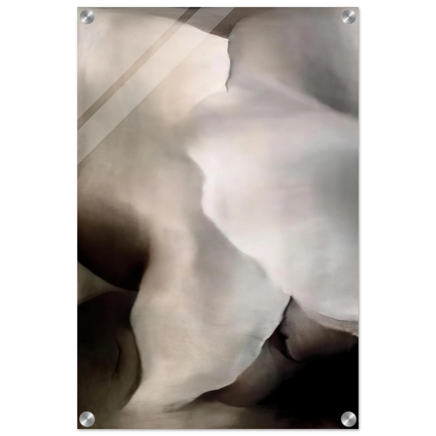 f52df363-6d22-4c52-821c-853051a56eeb