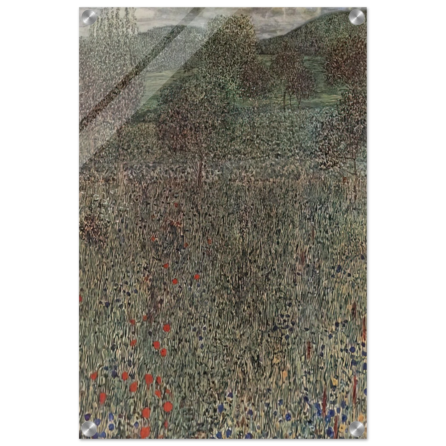 f6d9e429-31aa-44f5-996c-65b1df210b96