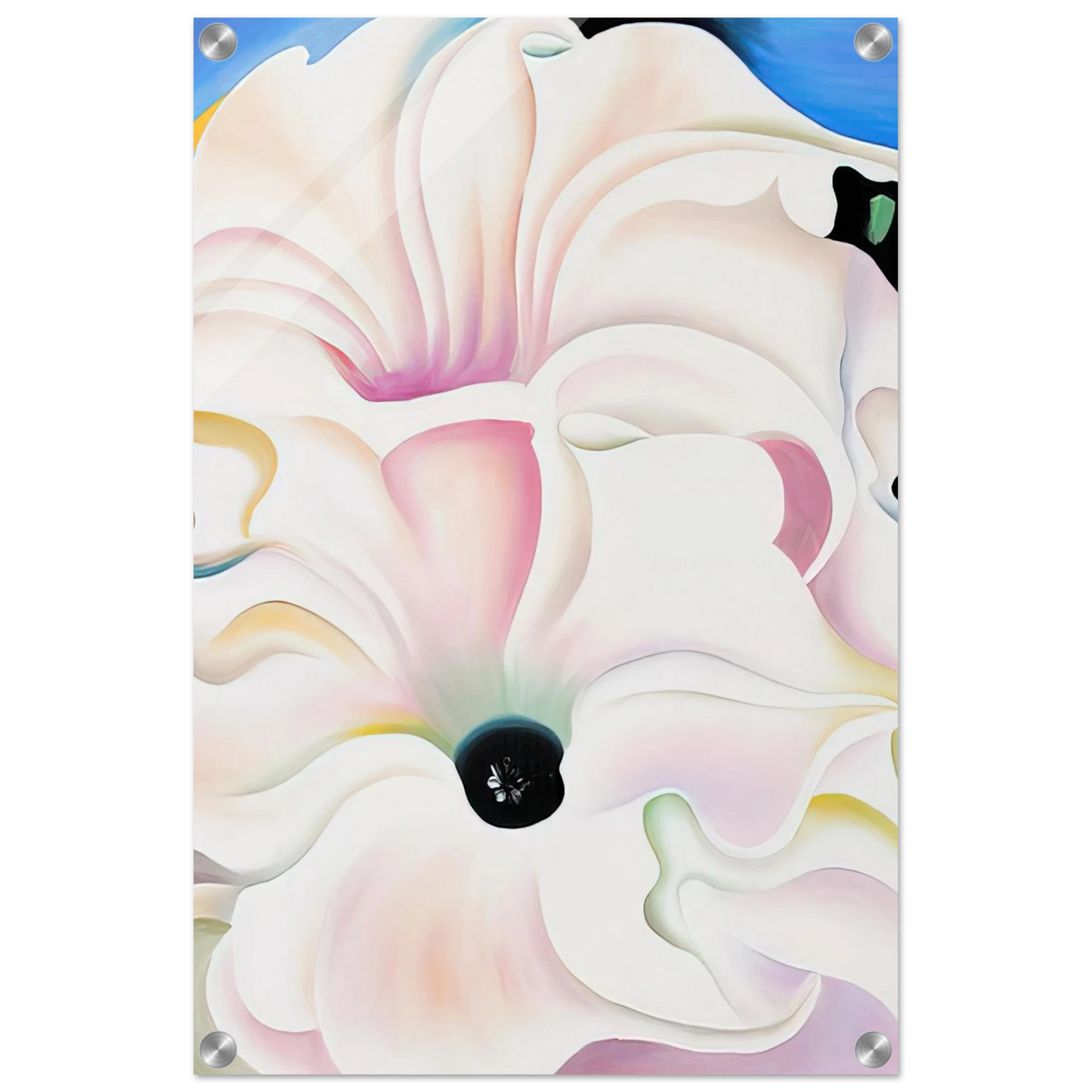 fe36bb0d-f0e2-465b-bd3f-5e2b0ee7c959