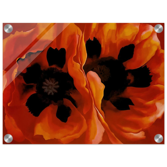 fed75cee-23eb-4c4b-8fc6-612057e32009