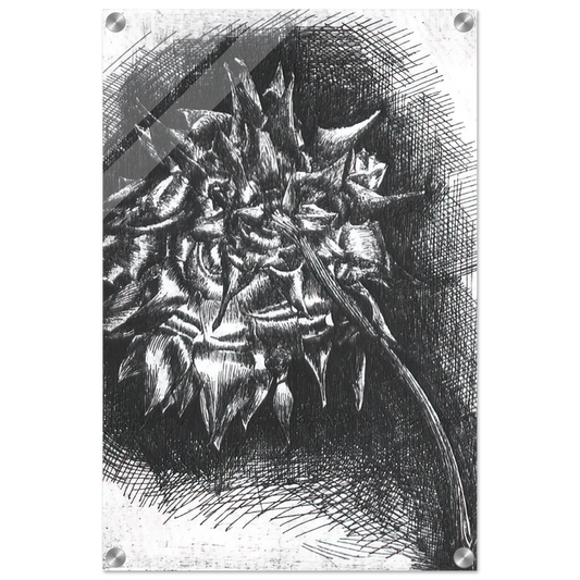 0098adad-33a5-4bac-afdd-85957b3454d1