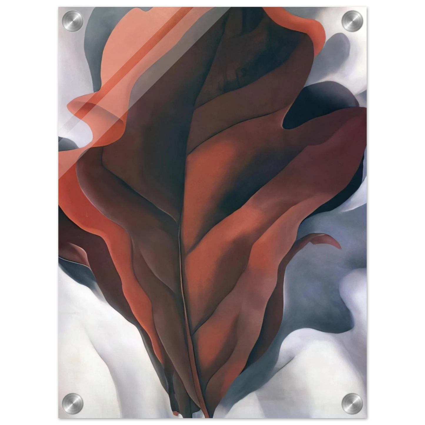 01c35c2d-57db-4d79-ac08-8678e8566644