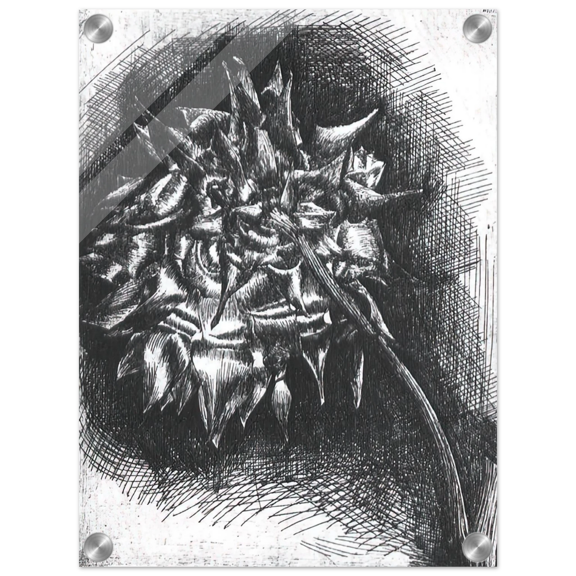 01e49650-036d-422e-81e5-6b2b8aeeaa3a