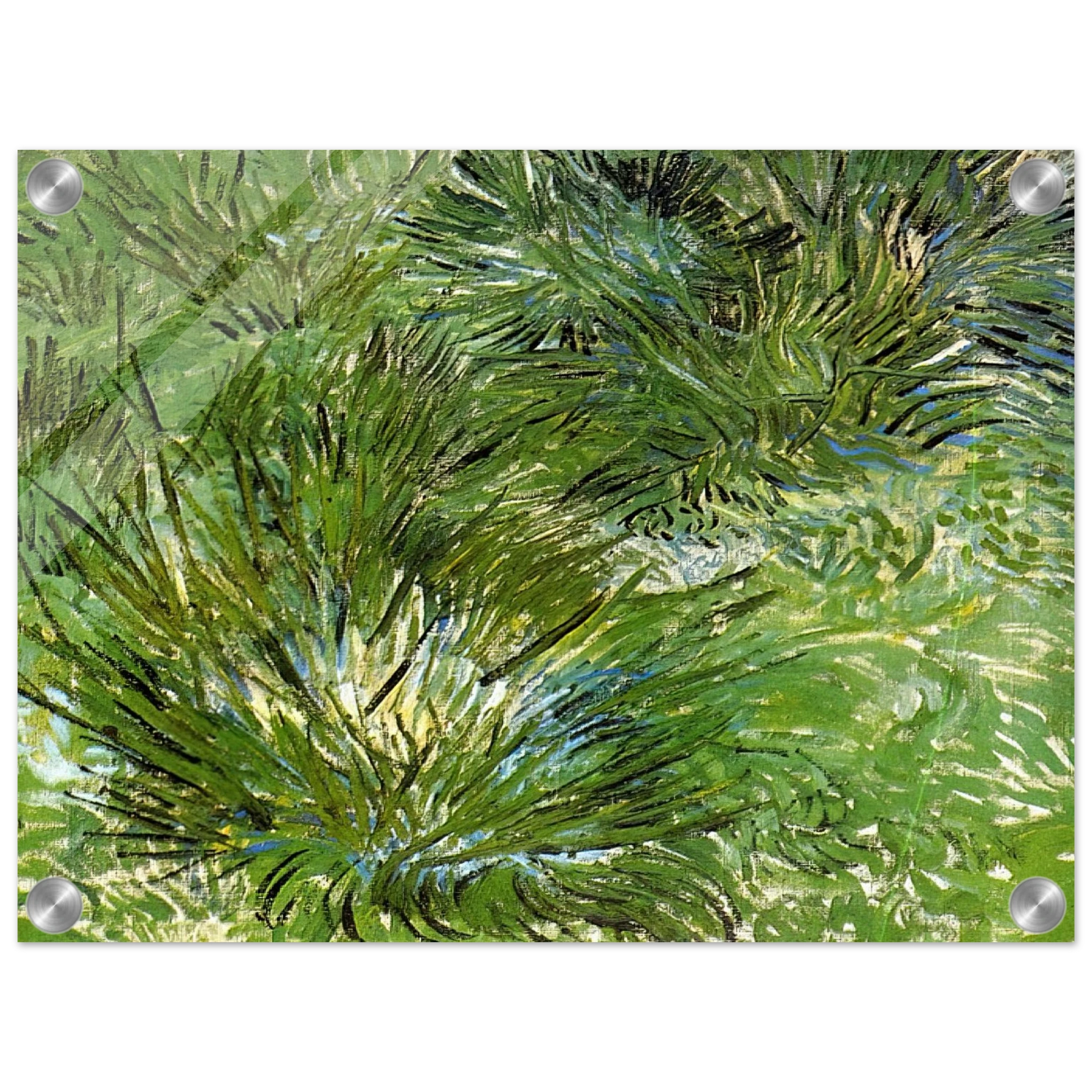 01e875be-0b61-447a-be20-1059bbf9adcd