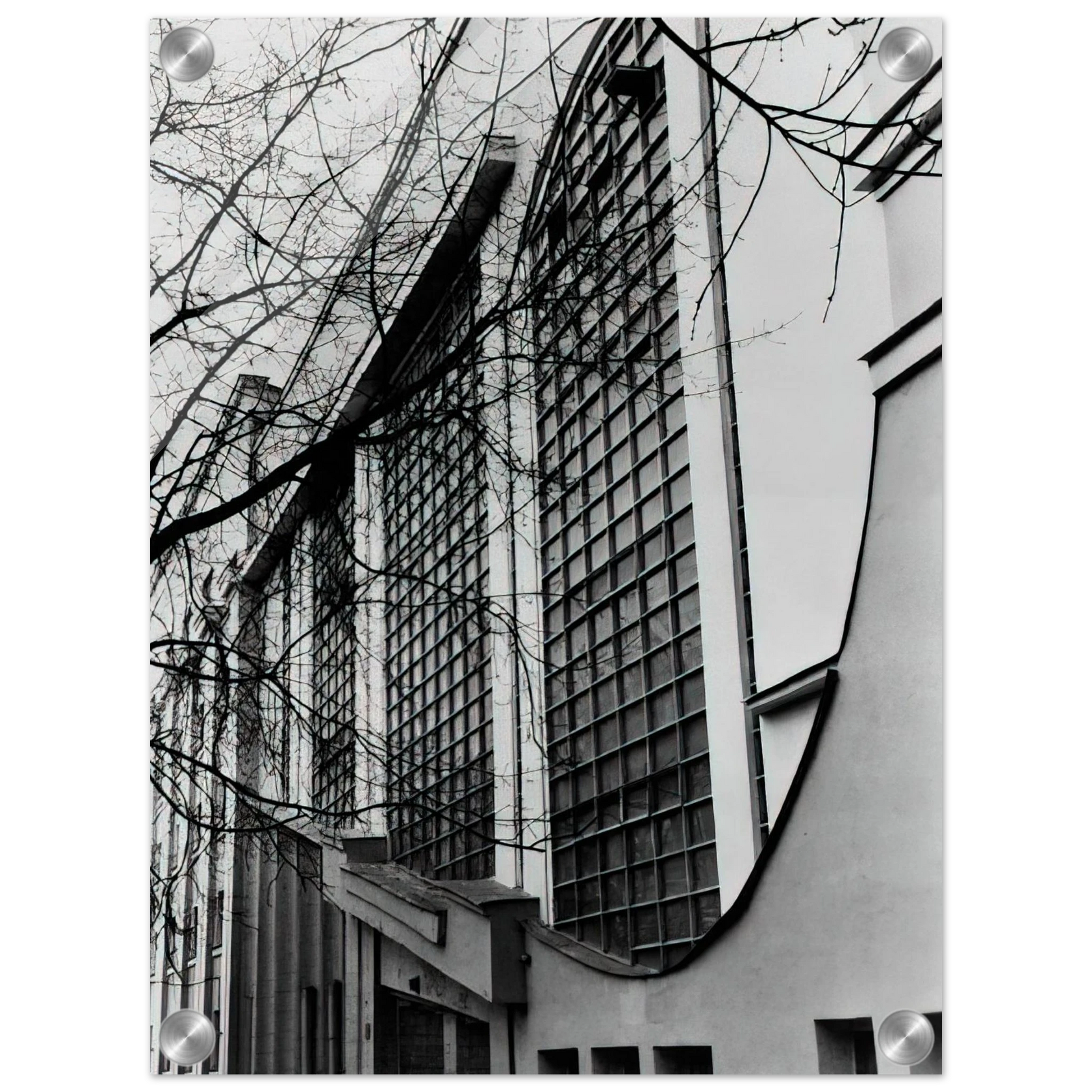 0217dac4-d8b6-43b3-a925-b33250643f55